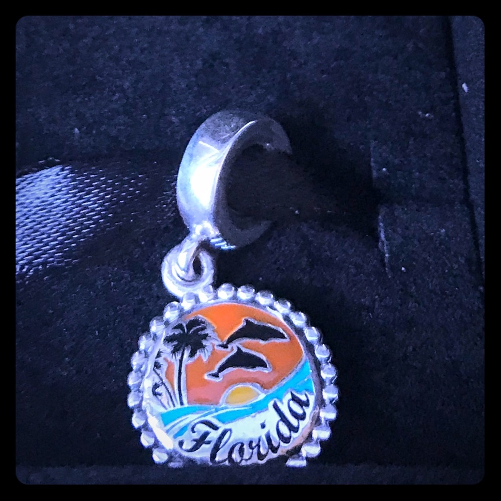 Pandora Florida Exclusive Beach Dolphin 🐬 Charm